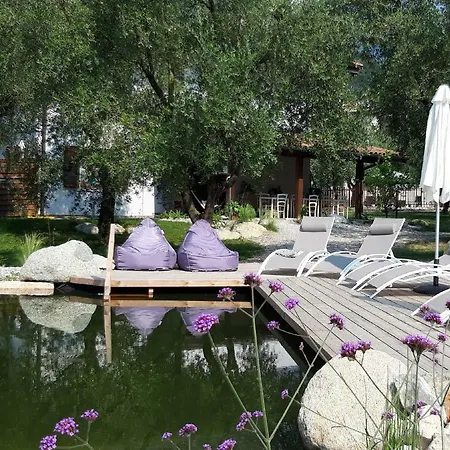 Agritur Fiore D'Ulivo-3